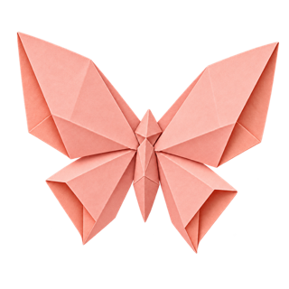 Origami butterfly